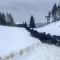 Angusherde kämpft sich durch den Schnee