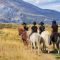 Cowgirls und Cowboys auf und davon