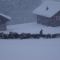 im tiefen Schnee.JPG